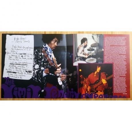 Hendrix, Jimi, Are You Experienced (0888751345010) виниловая пластинка - фото 12