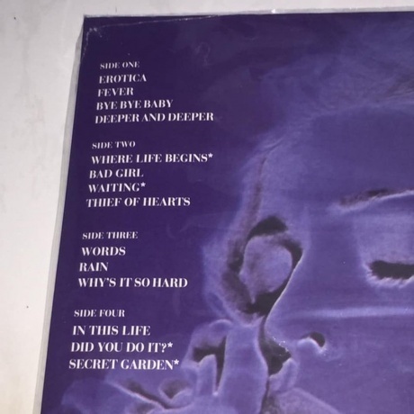 Madonna - Erotica (0081227973568) виниловая пластинка - фото 9