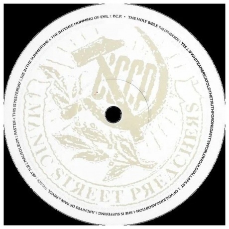 Manic Street Preachers, The Holy Bible (0888751406612) виниловая пластинка - фото 5