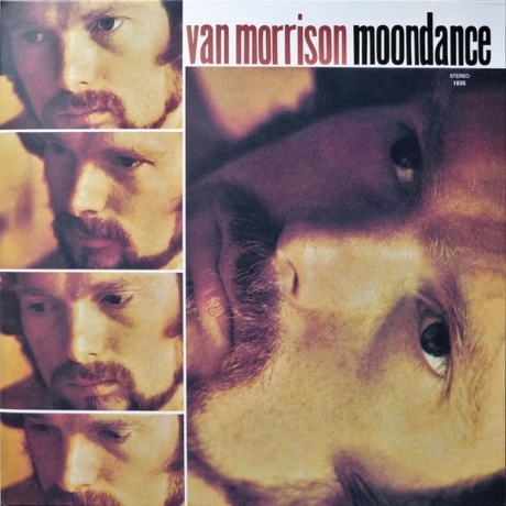 Van Morrison - Moondance (0081227950354) виниловая пластинка - фото 7