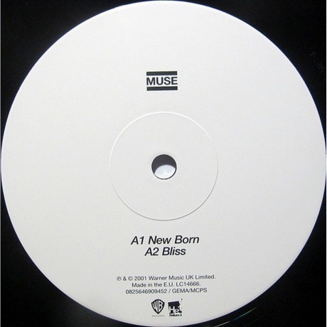 Muse - Origin Of Symmetry (0825646909452) виниловая пластинка - фото 5