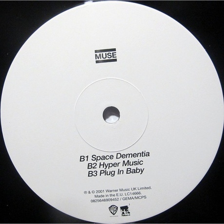 Muse - Origin Of Symmetry (0825646909452) виниловая пластинка - фото 6