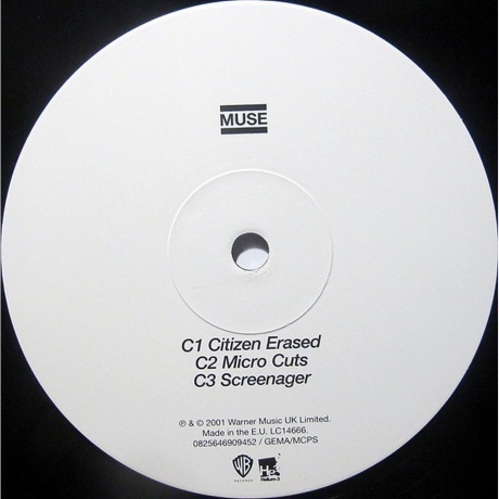 Muse - Origin Of Symmetry (0825646909452) виниловая пластинка - фото 7