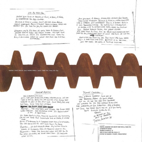 Pantera - Far Beyond Driven (0081227981280) виниловая пластинка - фото 12