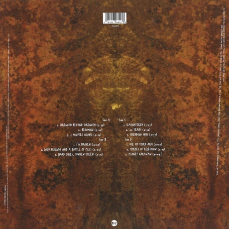 Pantera - Far Beyond Driven (0081227981280) виниловая пластинка - фото 4