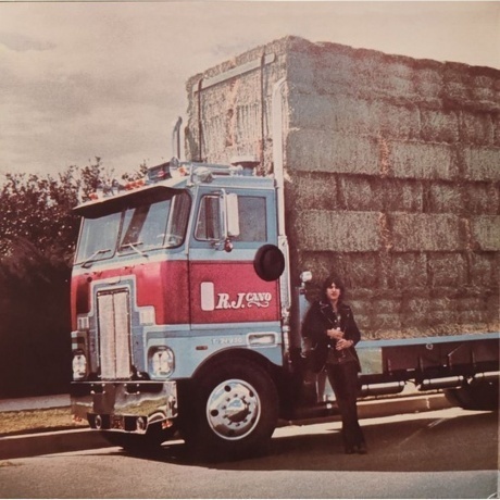 Gram Parsons - GP (0081227959531) виниловая пластинка - фото 4