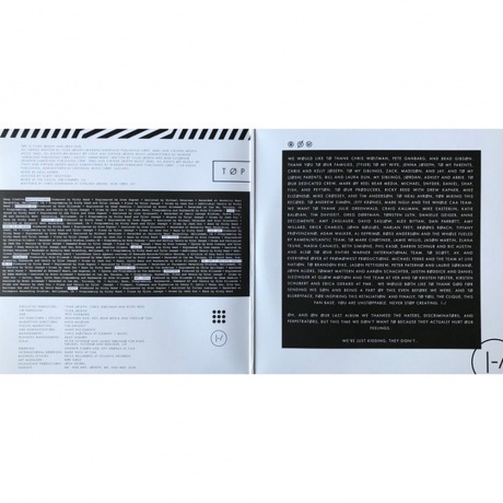 Twenty One Pilots - Blurryface (0075678669637) виниловая пластинка - фото 3