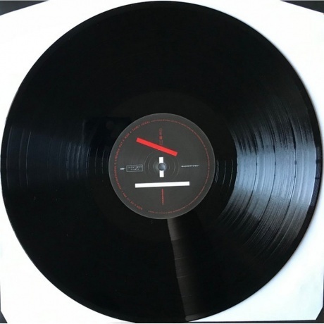 Twenty One Pilots - Blurryface (0075678669637) виниловая пластинка - фото 6