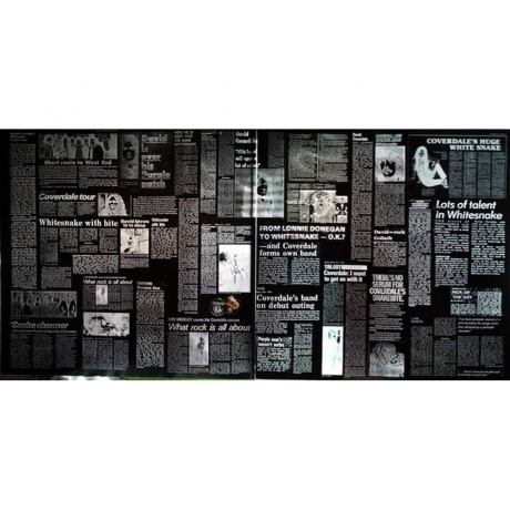 Whitesnake - Trouble (0825646339440) виниловая пластинка - фото 3