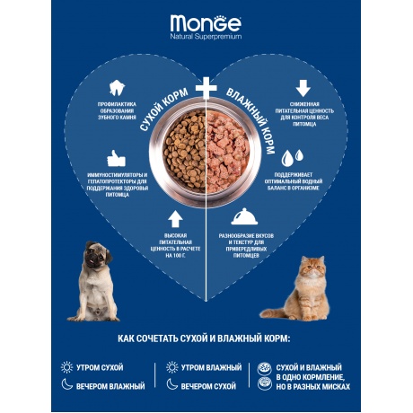 Корм сухой Monge Dog Monoprotein  для собак всех пород форель с рисом и картофелем 2,5 кг - фото 2