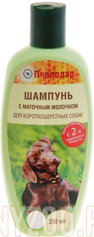 Шампунь Пчелодар для короткошерстных собак с маточным молочком 250 мл 1033 - фото 1