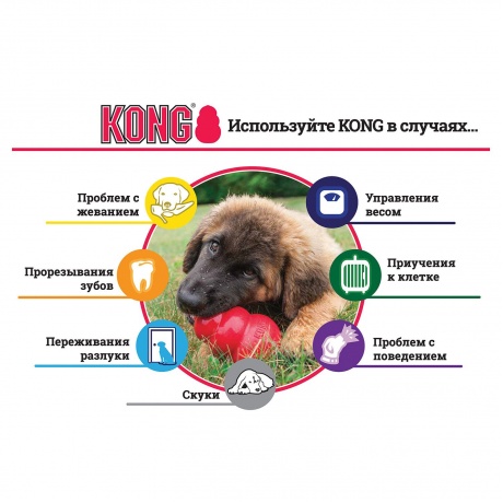 Kong Extreme игрушка для собак КОНГ очень прочная средняя 8 х 6 см - фото 7