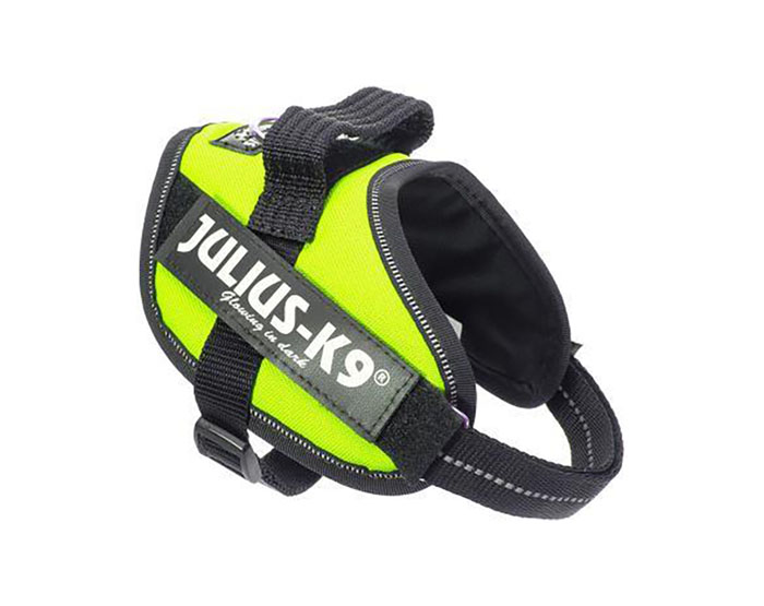 JULIUS-K9 шлейка для собак IDC®-Powerharness Mini (49-67см/ 7-15кг), зеленый неон