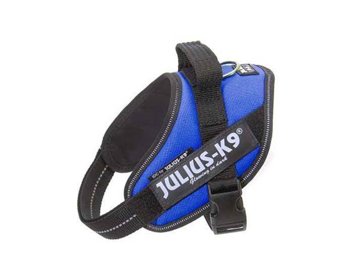 JULIUS-K9 шлейка для собак IDC®-Powerharness Mini (49-67см/ 7-15кг), синий