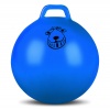Мяч гимнастический с ручкой INDIGO IN093/JB2 45 см Голубой
