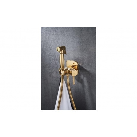 Смеситель Lemark Solo с гигиеническим душем (LM7165G) - фото 2