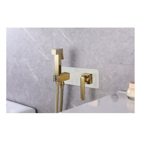 Смеситель с гигиеническим душем Lemark Mista, встраиваемый (LM6419WG) - фото 2