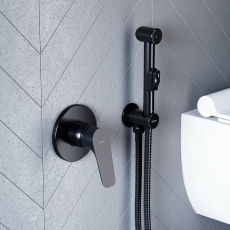 Смеситель для душа Damixa Jupiter 777500300 черный - фото 2