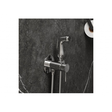 Смеситель с гигиенической лейкой Teymi Lina, хром T10229 - фото 12