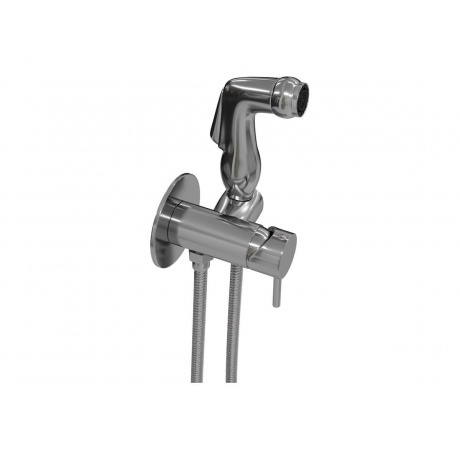 Смеситель с гигиенической лейкой Teymi Lina, хром T10229 - фото 3