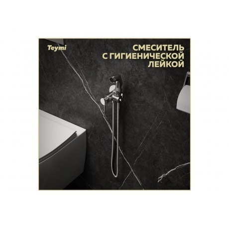 Смеситель с гигиенической лейкой Teymi Lina, хром T10229 - фото 9
