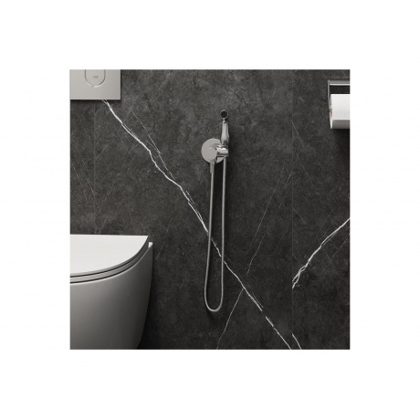 Смеситель с гигиенической лейкой Teymi Lina, хром T10229 - фото 10