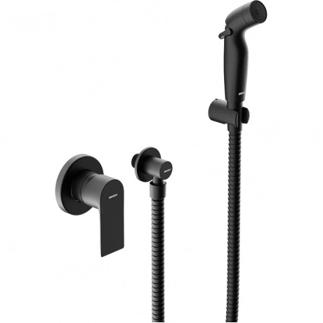 Монтируемый в стену смеситель с гигиеническим душем Damixa Apoll...