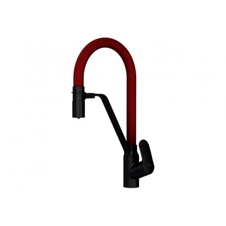 

Смеситель для кухни с кан. для питьевой воды AM.PM Like F8007828 черный/красный излив