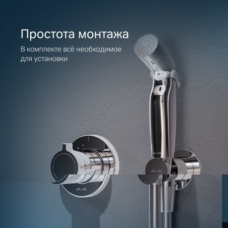Гигиенический набор для душа AM.PM X-Joy F0H85A400 хром - фото 11