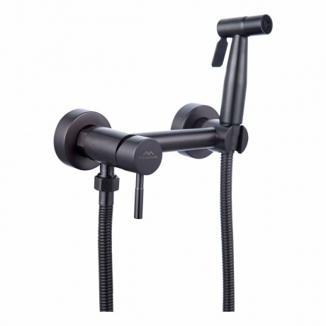 Смеситель настенный с гигиенической лейкой FASHUN (A57503-17)