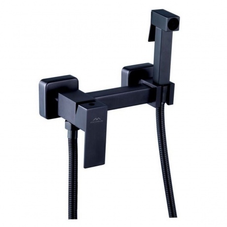 Смеситель для умывальника FASHUN с гигиенической лейкой графит (A57504-17)