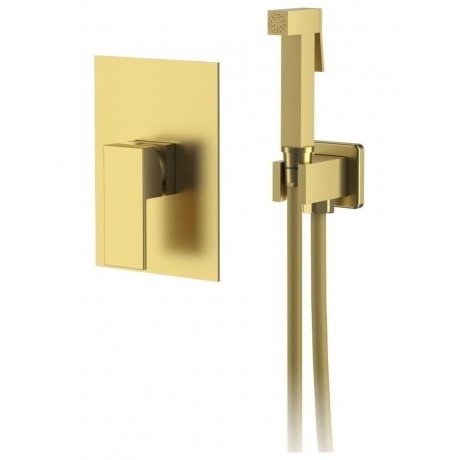 Смеситель для душа DK с гигиеническим душем встраиваемый матовое...