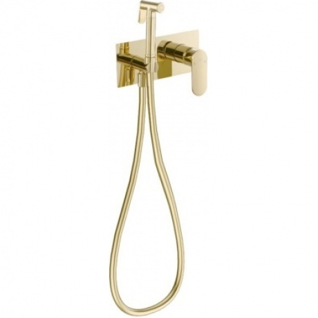 Смеситель встраиваемый FASHUN с гигиенической лейкой (A7585-35) - фото 1