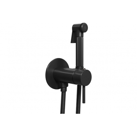 Смеситель с гигиенической лейкой Teymi Lina, черный матовый T102...