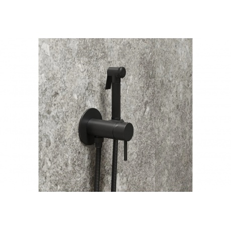 Смеситель с гигиенической лейкой Teymi Lina, черный матовый T10230 - фото 11