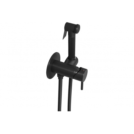 Смеситель с гигиенической лейкой Teymi Lina, черный матовый T10230 - фото 4