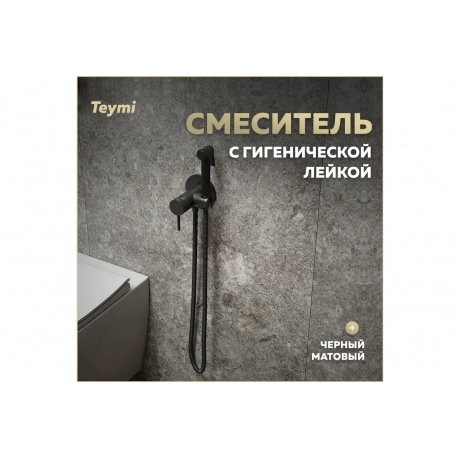 Смеситель с гигиенической лейкой Teymi Lina, черный матовый T10230 - фото 8