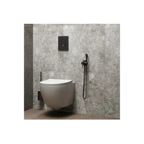 Смеситель с гигиенической лейкой Teymi Lina, черный матовый T10230 - фото 9