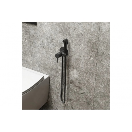 Смеситель с гигиенической лейкой Teymi Lina, черный матовый T10230 - фото 10