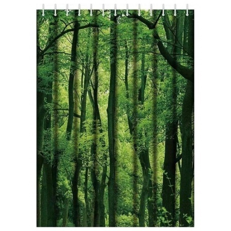 Штора для ванной Haiba лес (HB74060) - фото 1