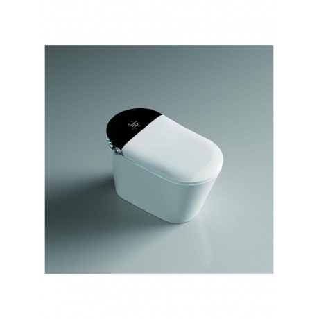 Электронный напольный унитаз-биде TIMO (TE-741B) - фото 2