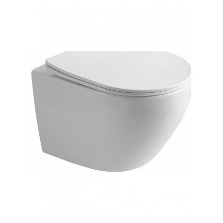 Унитаз OLIVE'S подвесной, белый, сиденье дюропласт PLAZA (PL3011...