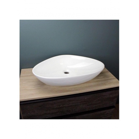 Раковина Teymi Ellie 60 накладная, белая T50802 - фото 11