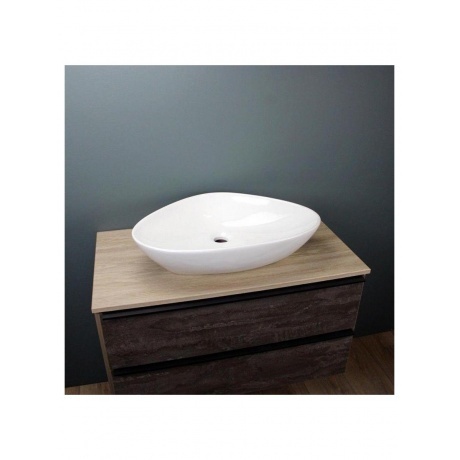 Раковина Teymi Ellie 60 накладная, белая T50802 - фото 12