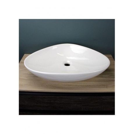 Раковина Teymi Ellie 60 накладная, белая T50802 - фото 13