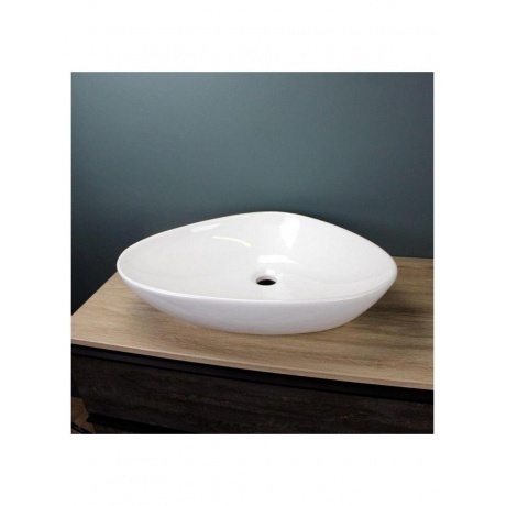 Раковина Teymi Ellie 60 накладная, белая T50802 - фото 10