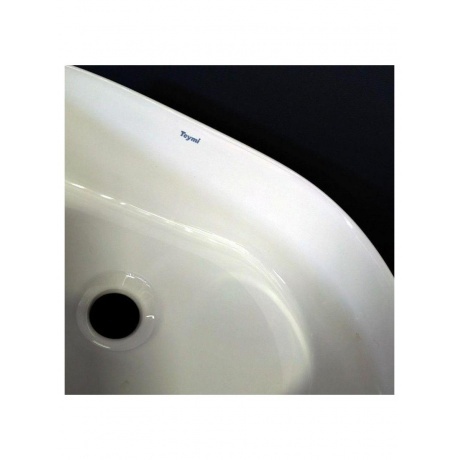 Раковина Teymi Iva 46 накладная, белая T50606 - фото 15