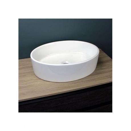 Раковина Teymi Lori 50 накладная, белая T50502 - фото 13