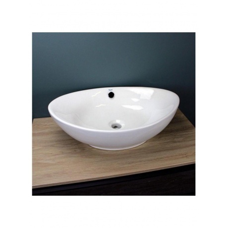 Раковина Teymi Lori 60 накладная, белая T50503 - фото 11