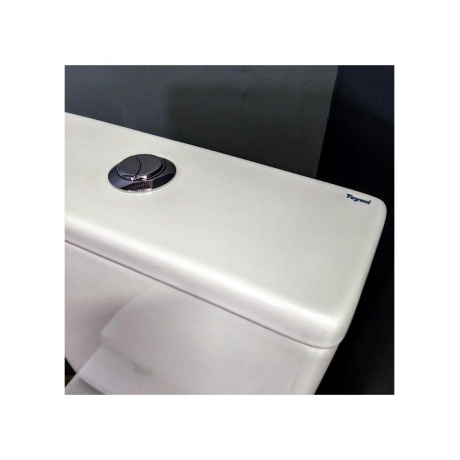 Унитаз напольный Teymi Lina безободковый, сиденье микролифт T40103 - фото 14